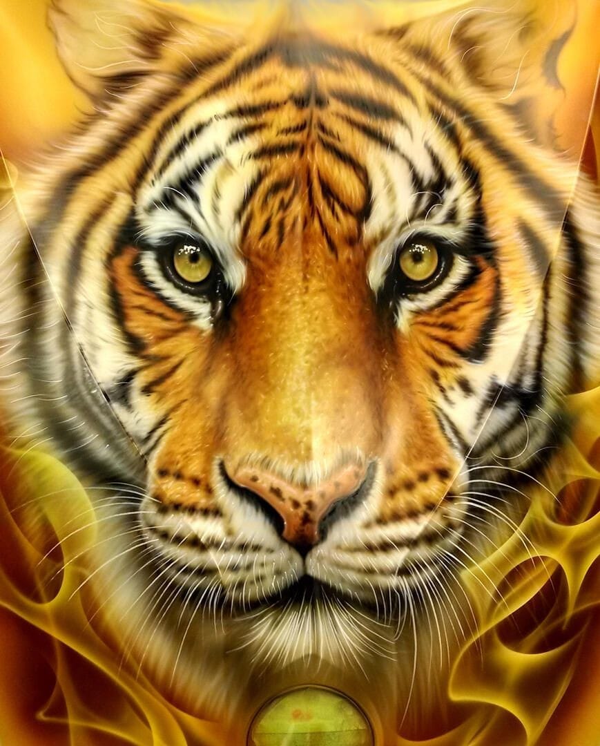 Airbrushed Tiger by  Alan Pastrana from Conneticuit 06062 